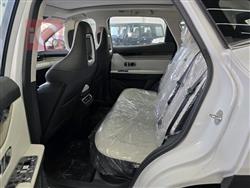 جيتور داشينج